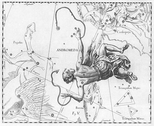 Andromeda by Johannes Hevelius