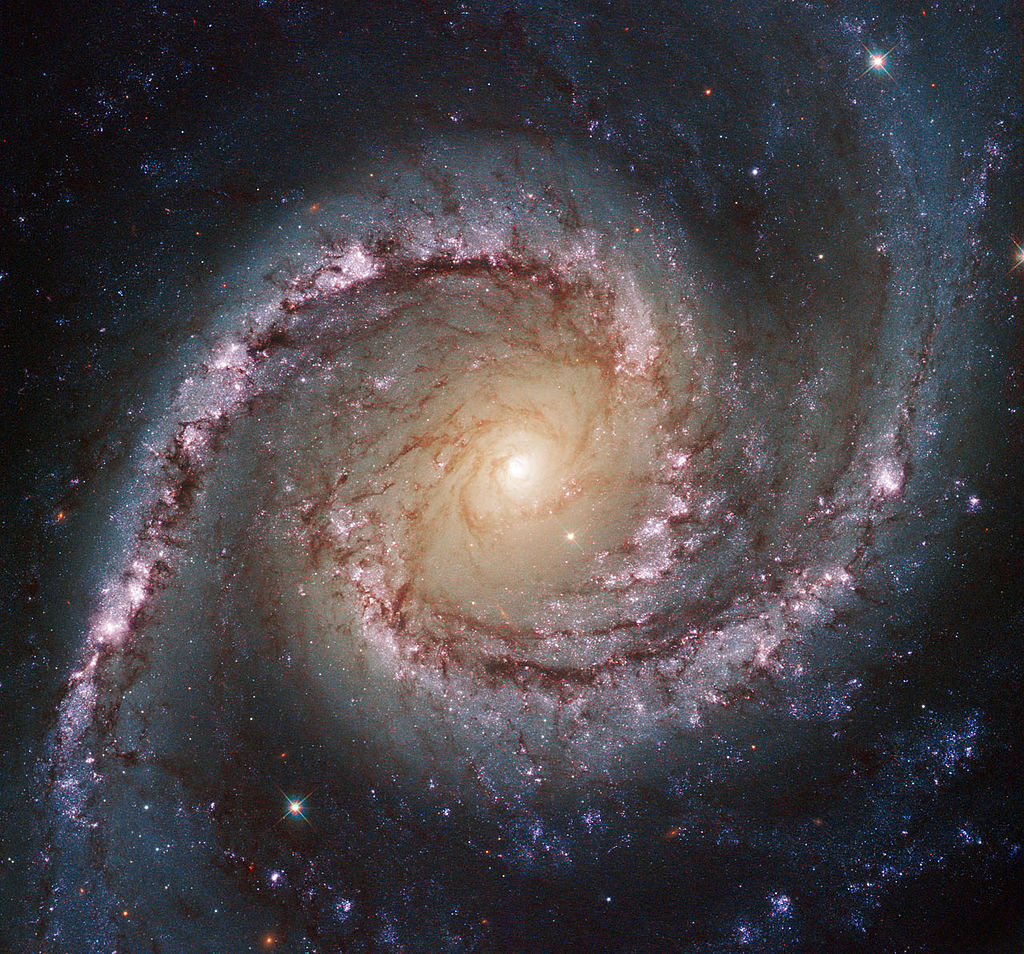 NGC 1566 (intermediate spiral galaxy)