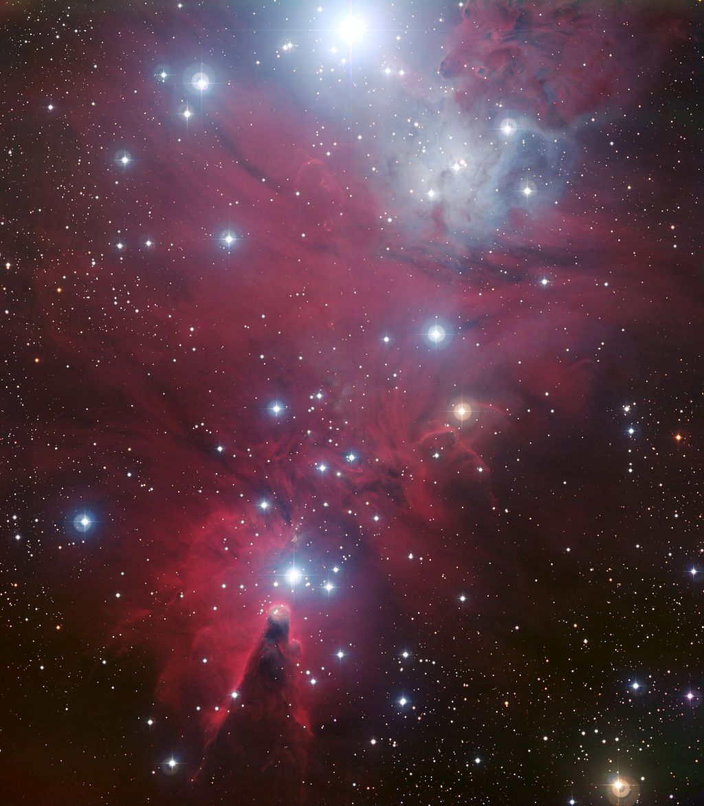 NGC 2264 by ESO