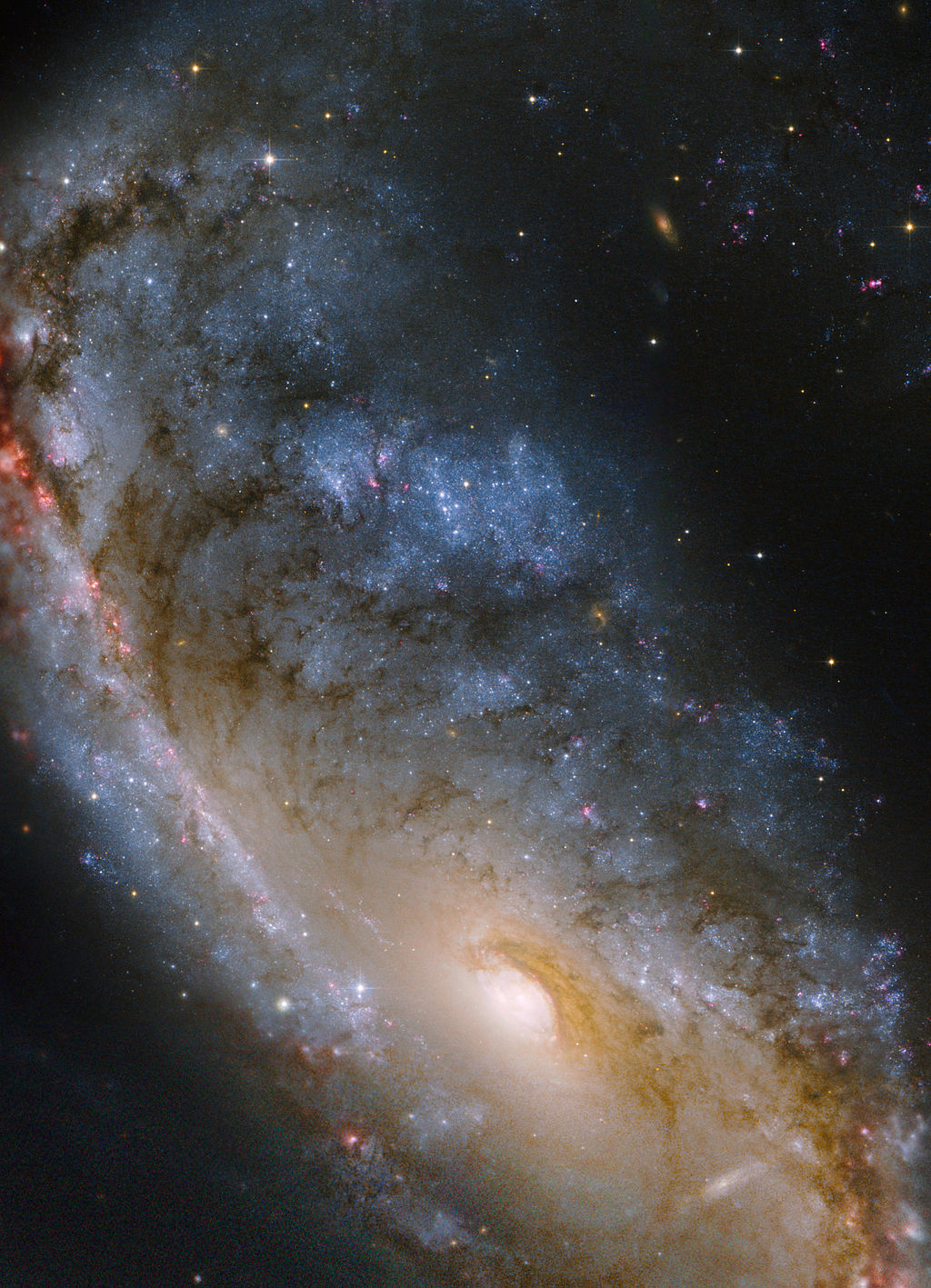 Close up of NGC 2442/2443