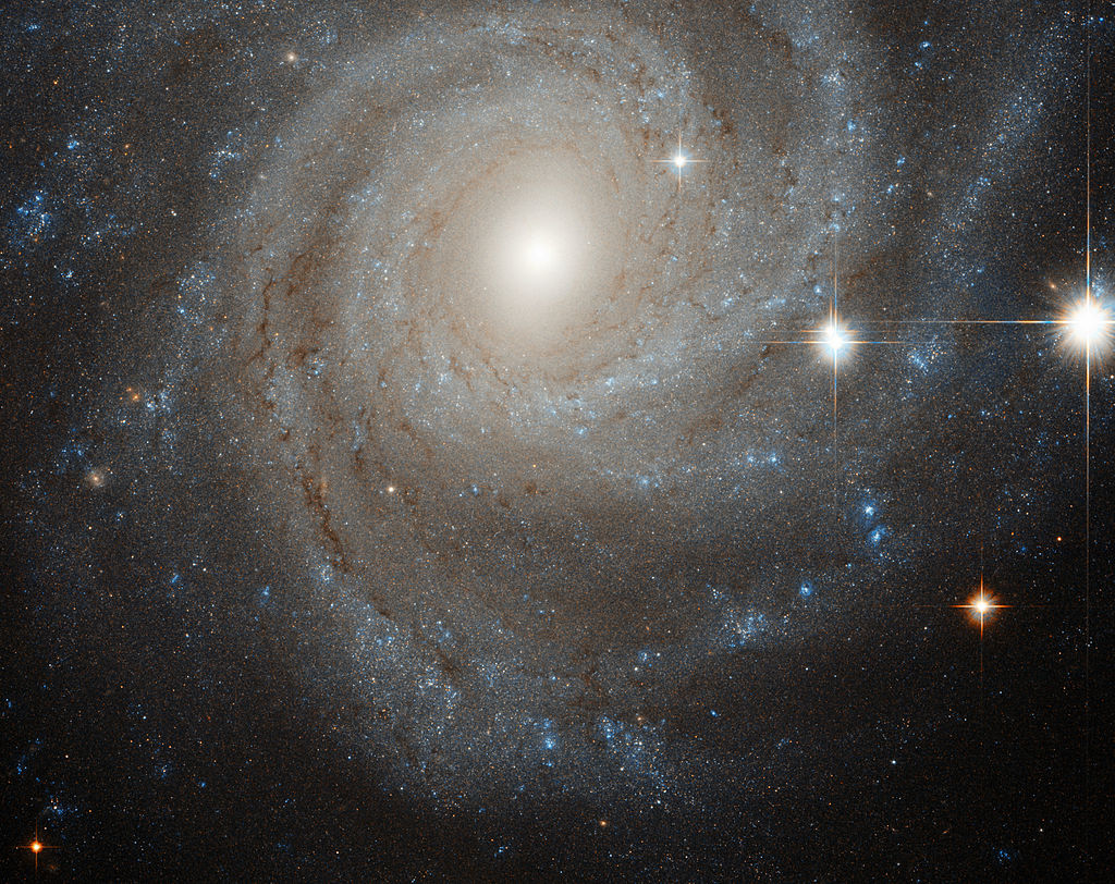 NGC 3344 (spiral galaxy)