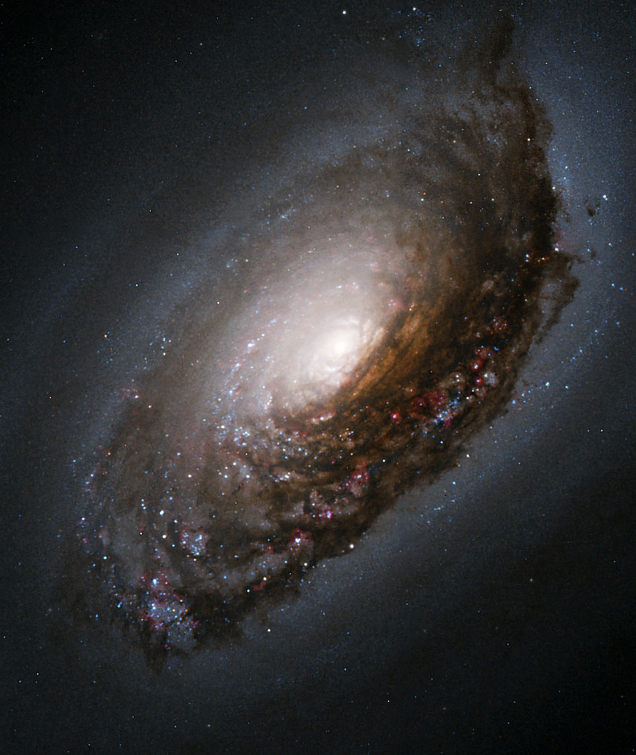 NGC 4826 (Black Eye Galaxy)