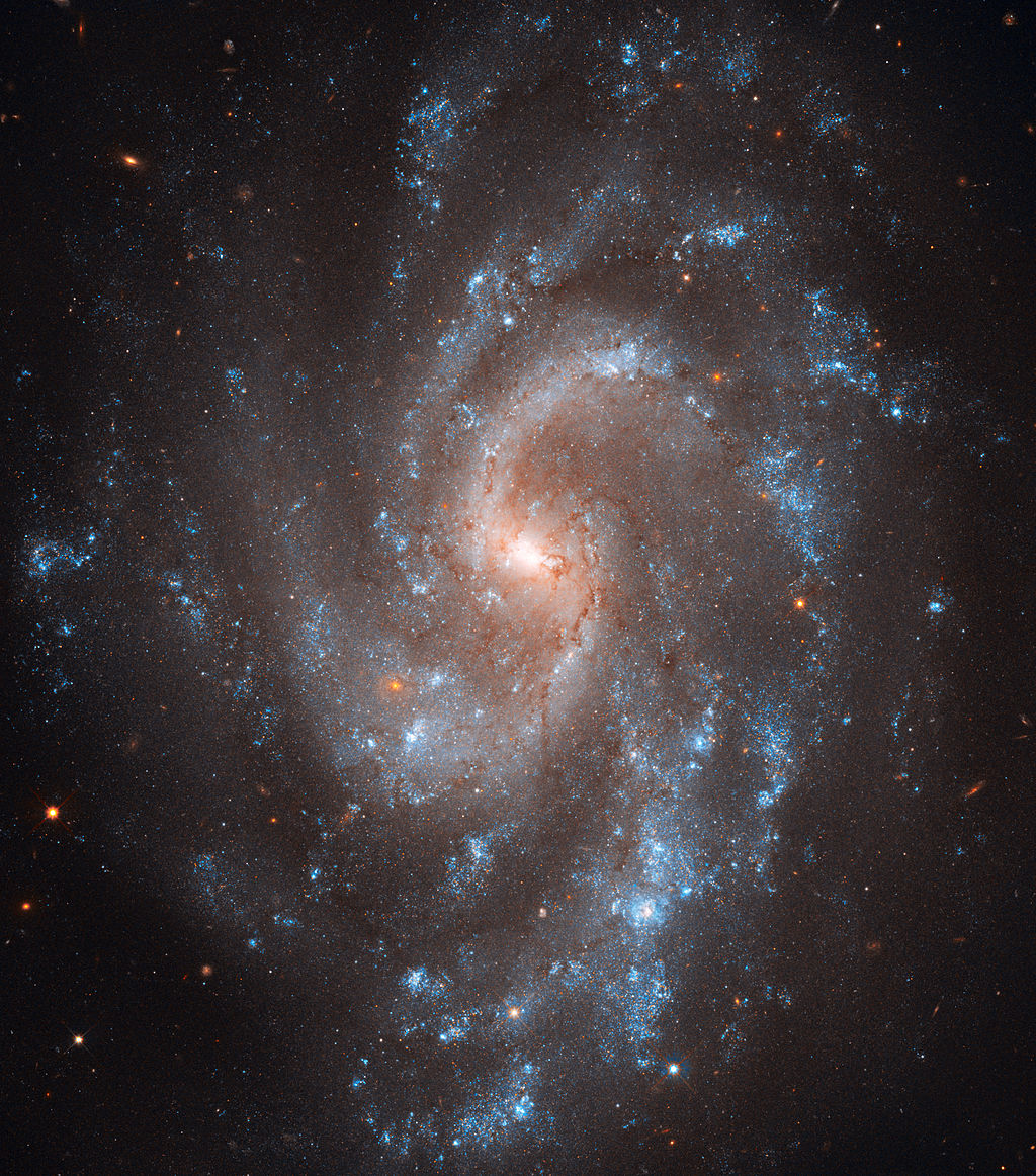 NGC 5584 (captured by the 
Hubble Space Telescope)