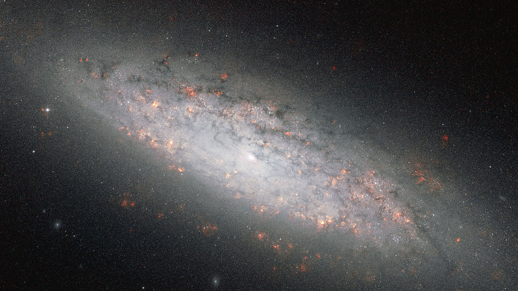 NGC 6503 (dwarf spiral galaxy)