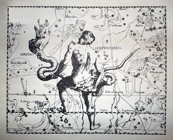 Ophiuchus by Johannes Hevelius