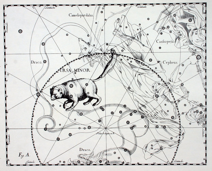 Ursa Minor by Johannes Hevelius
